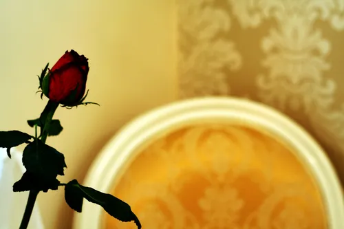 Standard Double Room 33 - Photo 9